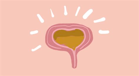 pelvic floor physical therapy westlake village